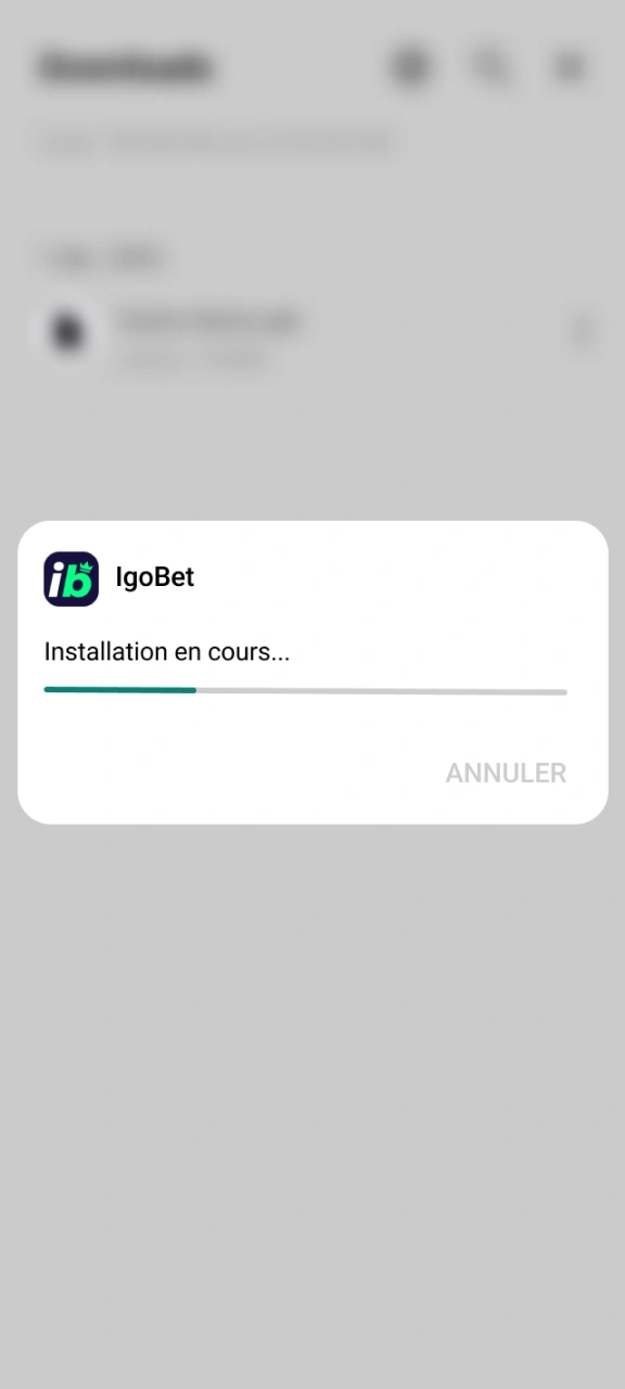 Installez la version mise à jour de l'application IgoBet.