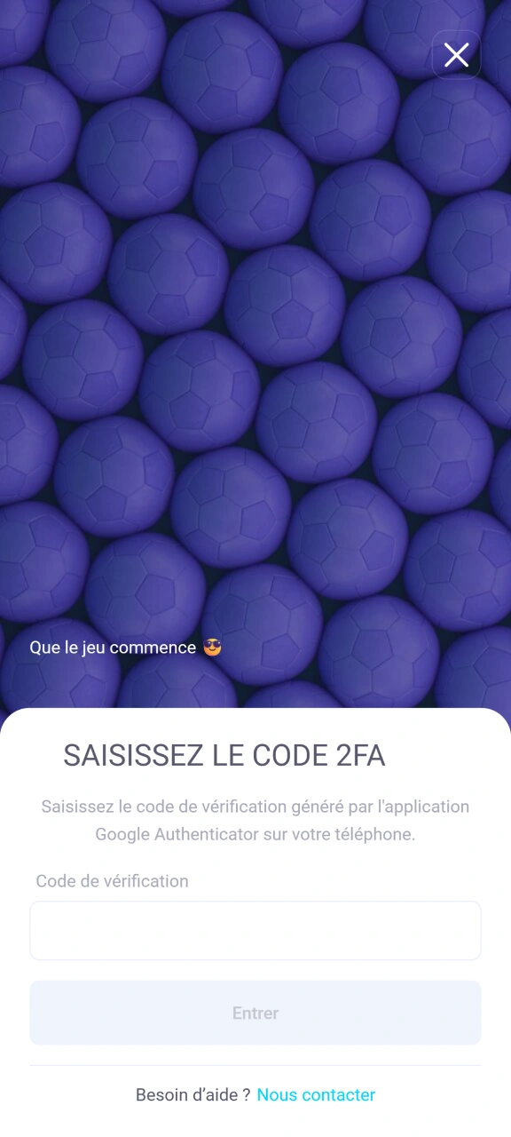 Saisissez le code d'authentification dans le champ prévu à cet effet sur IgoBet.